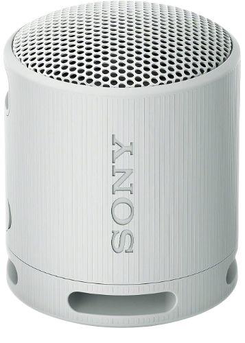 Sony  SRS-XB100 Portable Wireless Speaker - Gray - Excellent